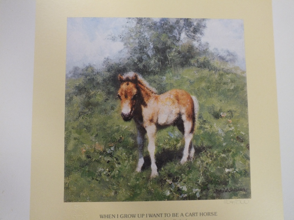 A COLLECTION OF UNFRAMED SIGNED LIMITED EDITION DAVID SHEPHERD PRINTS TO INCLUDE ZIGGY, BABY - Image 2 of 4