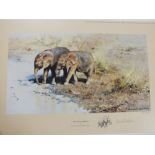 SIX UNFRAMED SIGNED LIMITED EDITION DAVID SHEPHERD AFRICAN BABIES PRINTS