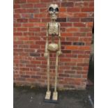 A NOVELTY LARGE MODERN SKELETON FIGURE - WE'VE CALLED HIM NEIL - H 158 CM