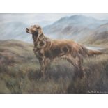 G. WILLIAMS (XIX). Study of a Red Setter in a Highland landscape, signed lower right, oil, framed
