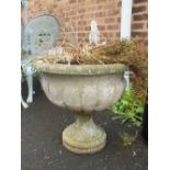 A CONCRETE GARDEN PLANTER ON PLINTH WITH CONTENTS DIA. 56 CM