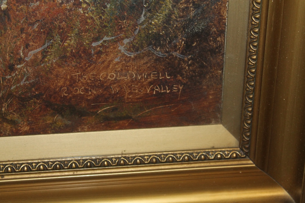 A FRAMED AND GLAZED OIL ON CANVAS OF A VALLEY RIVER SCENE SIGNED S G MORLEY - H 39 CM BY 60 CM - Bild 3 aus 5