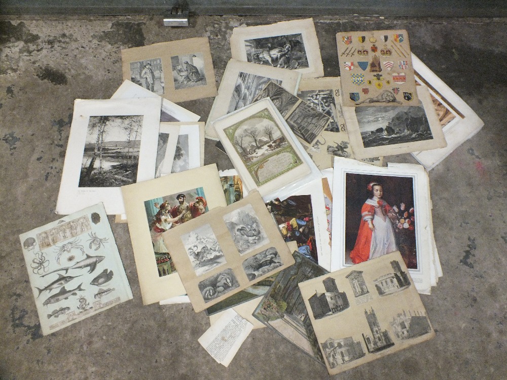 A TRAY OF UNFRAMED PRINTS ETC TO INCLUDE A QUANTITY OF SPORTING HERITAGE PRINTS, QUANTITY OF ANTIQUE - Bild 3 aus 4