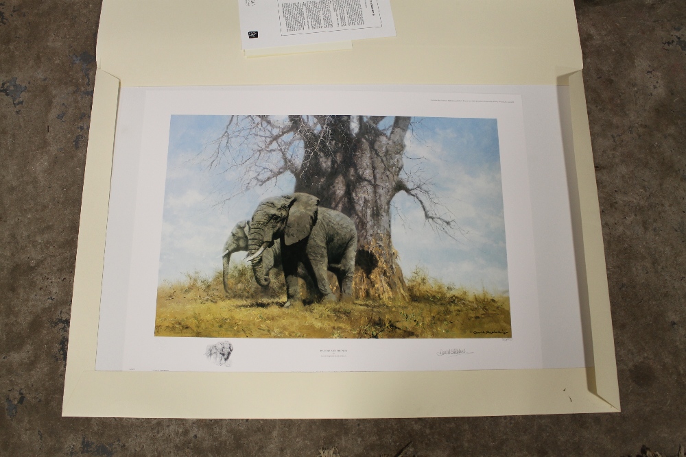 AN UNFRAMED SIGNED LIMITED EDITION DAVID SHEPHERD PRINT ENTITLED 'BAOBAB AND FRIENDS' 800/950 - Bild 2 aus 2