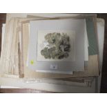 A LARGE QUANTITY OF UNFRAMED PRINTS, LITHOGRAPHS, WATERCOLOURS ETC.