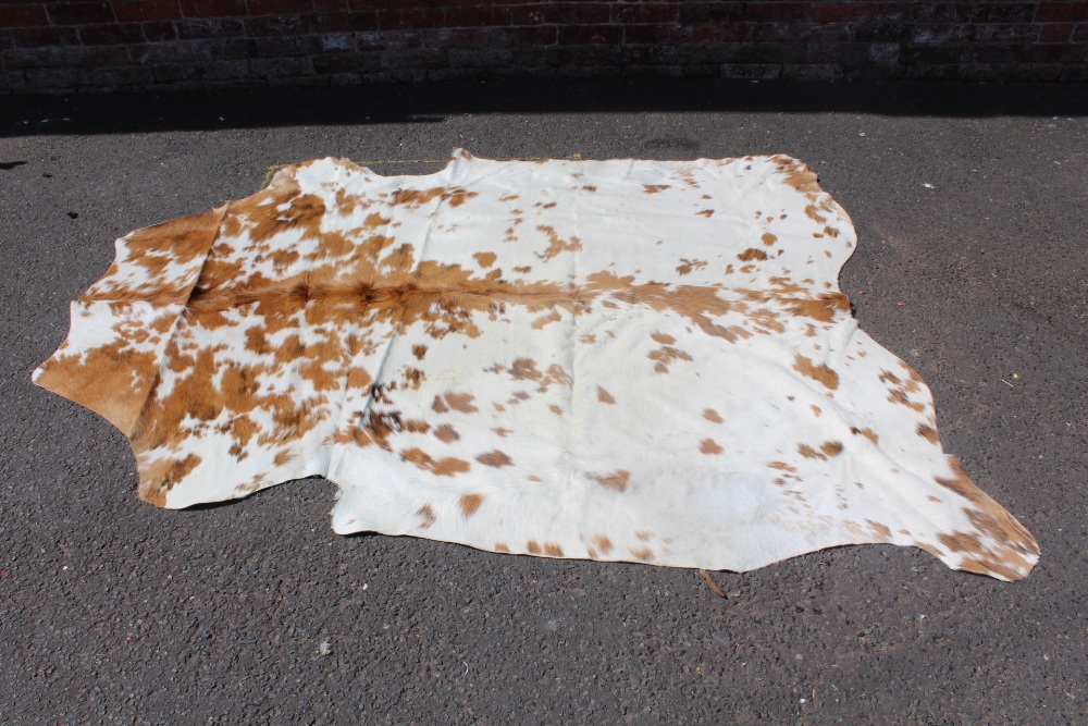 A FULL COWHIDE FROM THE NETHERLANDS - APPROX 214 X 159 CM