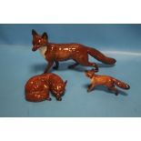 THREE BESWICK FOXES