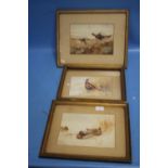THREE FRAMED EDWARDIAN WATERCOLOURS OF GAME BIRDS, LARGEST 37 X 29 CM