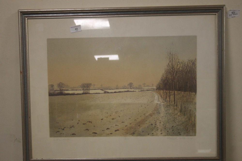 A LIMITED EDITION PRINT BY MICHAEL CARLO DATED 1979 ENTITLED "LAKE WALK" 108/200, 71 X 55 CM - Image 2 of 2