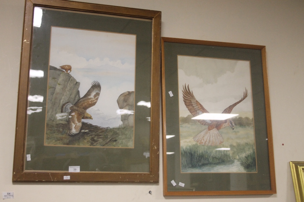 TWO FRAMED AND GLAZED S. MOORE WATERCOLOURS OF BIRDS OF PREY BOTH SIGNED TO THE LOWER EDGE,