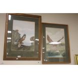 TWO FRAMED AND GLAZED S. MOORE WATERCOLOURS OF BIRDS OF PREY BOTH SIGNED TO THE LOWER EDGE,