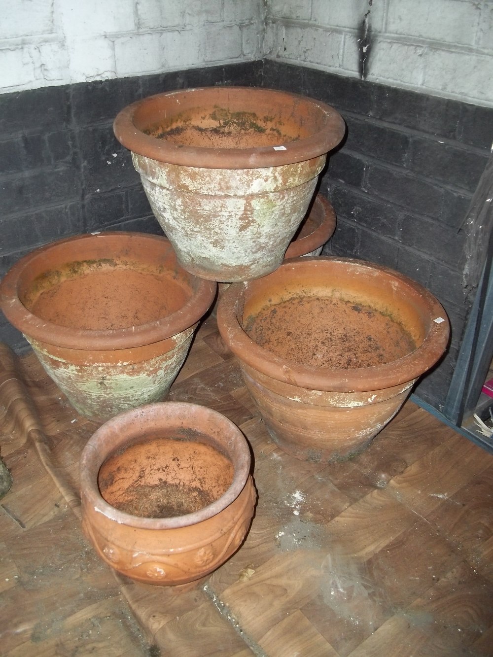 FIVE LARGE TERRACOTTA PLANTERS