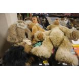 A TRAY OF SOFT TOYS WITH CABBAGE PATCH DOLLS (TRAYS NOT INCLUDED)