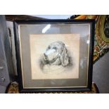 A GOOD EXAMPLE OF A CRAYON DRAWING OF A SETTER, SIGNED MURIEL HERNE 1911