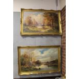 A PAIR OF GILT FRAMED OIL ON CANVASES DEPICTING COUNTRY LAKE SCENES SIGNED DEMESTER - H 59 CM BY