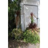 A PAIR OF PALM TYPE TREES WITH IVY IN PLANTERS - PLANTERS A/F, LARGEST OVERALL APPROX H 173 CM