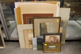 A QUANTITY OF UNFRAMED OIL PAINTINGS, WATERCOLOURS ETC TOGETHER WITH FRAMED AND GLAZED EXAMPLES