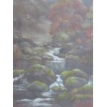 (XIX-XX). Mountainous wooded rocky river scene unsigned, oil on paper, framed and glazed, 33 x 19