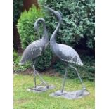 A PAIR OF LIFE SIZE CAST ALUMINIUM HERONS, both freestanding on wide pre-drilled bases, tallest H