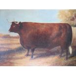 J. WHITHSON (XX). Primitive study of a bull, signed lower right, oil on paper over a print base,
