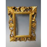 A 19TH CENTURY GOLD CARVED WOODEN FLORENTINE FRAME, frame W 4.5 cm, rebate 15 x 10 cm