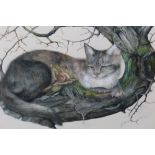 MARGARET J. JACKSON. A pair of studies of cats on tree branches, signed and dated 1976 upper left,