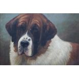 H. CROWTHER. Study of a St. Bernard dog 'Champion Destiny of Duffryn, born Nov 13th 1906', signed