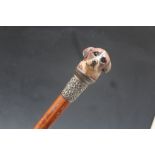 A NOVELTY ANTIQUE MALACCA WALKING STICK WITH DOG HEAD TOP, with white metal collar dated 1897. L