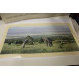 APPROXIMATELY THIRTY LARGE SOLOMON AND WHITEHEAD ASSORTED SIGNED WILDLIFE ARTIST PROOF PRINTS BY
