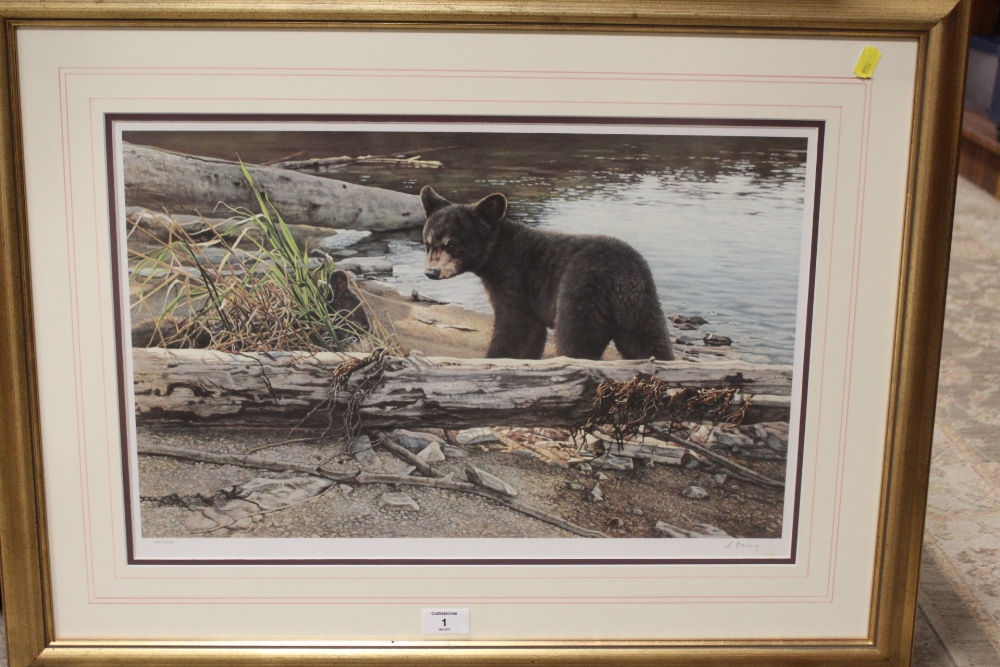 A FRAMED AND GLAZED SIGNED LIMITED EDITION A CAREY PRINT OF A BEAR CUB NO. 267/55