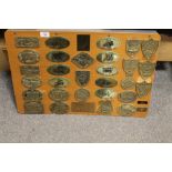 A COLLECTION OF BRASS TEAM RALLY COMMEMORATIVE PLAQUES AFFIXED TO A WOODEN BOARD