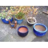 A COLLECTION OF CERAMIC LARGER PLANTER POTS