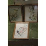 THREE FRAMED AND GLAZED PRINTS DEPICTING BIRDS