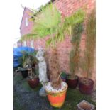 A PAINTED STONE GARDEN PLANTER WITH AN EXOTIC YUCCA? H 220 CM