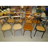 A HARLEQUIN SET OF EIGHT ASSORTED BENTWOOD CHAIRS