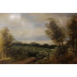 A PAIR OF GILT FRAMED OIL ON CANVAS RURAL SCENES - H 29.5 CM W 60 CM