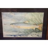 FRAMED WATERCOLOUR OF A TROUT, WITH A FISHING FLY