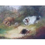 FRANK CASSELL (XIX). British school, terriers at a rabbit hole, signed lower middle to right, oil on
