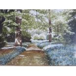 TERRY BAILEY (XX). A pair of 20th century landscapes 'Summer on the River Walkham' and 'Bluebells at