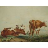 T. S. COOPER. (XIX-XX). British school, coastal landscape with cattle resting, town beyond, signed
