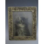 (XIX-XX). British school, study of a kitten, unsigned, oil on canvas, framed, 22 x 17 cm