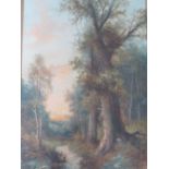 HENRY COOPER (XIX-XX). A pair of wooded landscapes, both signed bottom left, oils on canvas, gilt
