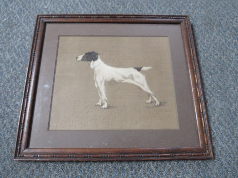 H.A. CAMERON-ROSE (XIX-XX). Portrait study of a terrier, signed mid to lower right, mixed media on - Image 2 of 3