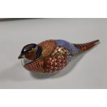 A ROYAL CROWN DERBY PHEASANT PAPERWEIGHT WITH SILVER STOPPER
