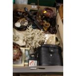 A TRAY OF SUNDRIES TO INCLUDE BINOCULARS, TREEN, ETC