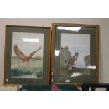 TWO FRAMED AND GLAZED WATERCOLOURS DEPICTING BIRDS OF PREY