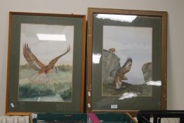 TWO FRAMED AND GLAZED WATERCOLOURS DEPICTING BIRDS OF PREY