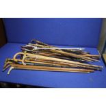 A COLLECTION OF ASSORTED WALKING STICKS TO INCLUDE SILVER TOPPED EXAMPLES
