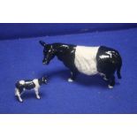 A BESWICK BELTED GALLOWAY TOGETHER WITH A BESWICK FRESIAN CALF