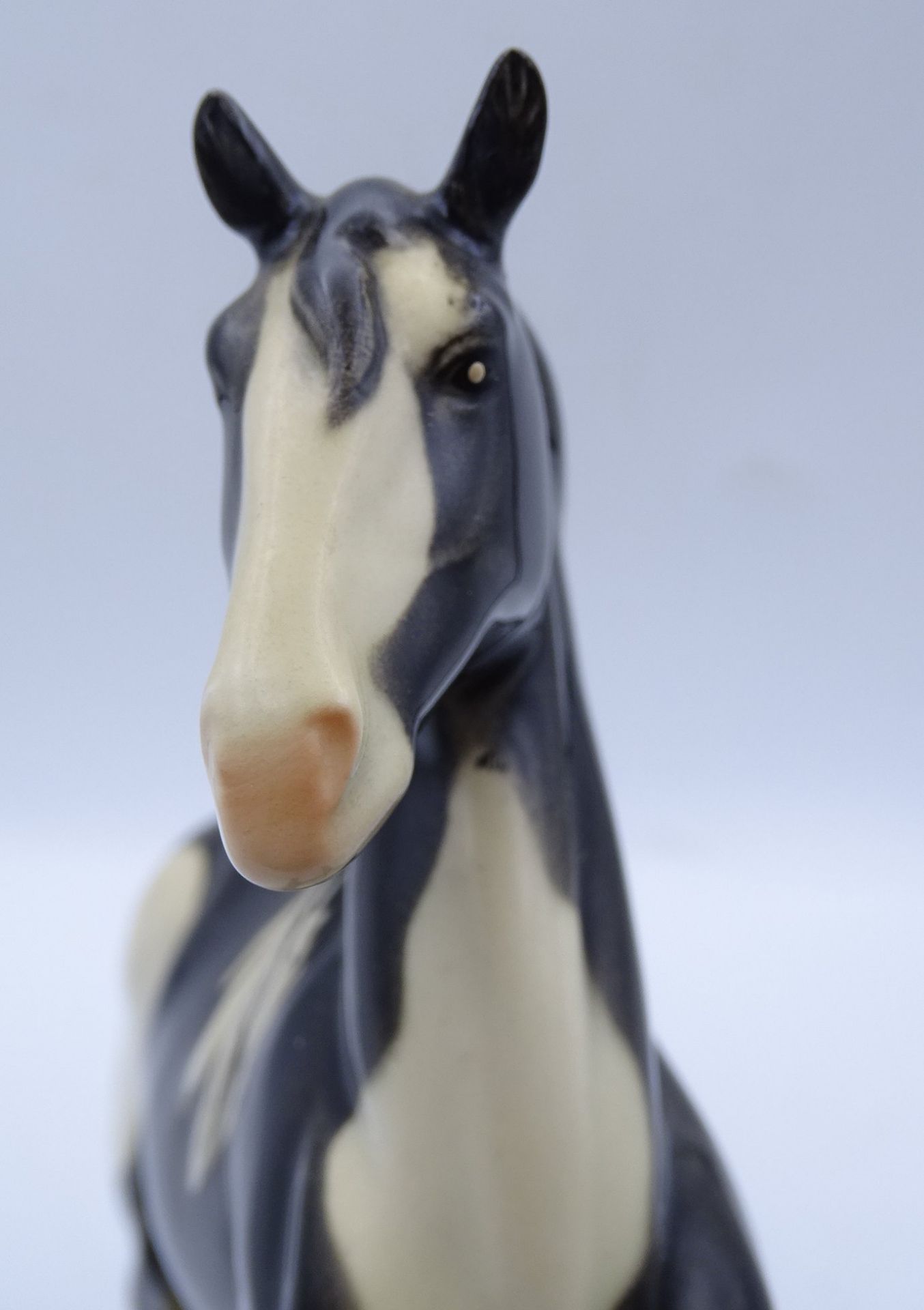Steigendes Pferd, Schecke, Goebel, H. 22 cm, sehr guter Zustand - Bild 5 aus 6